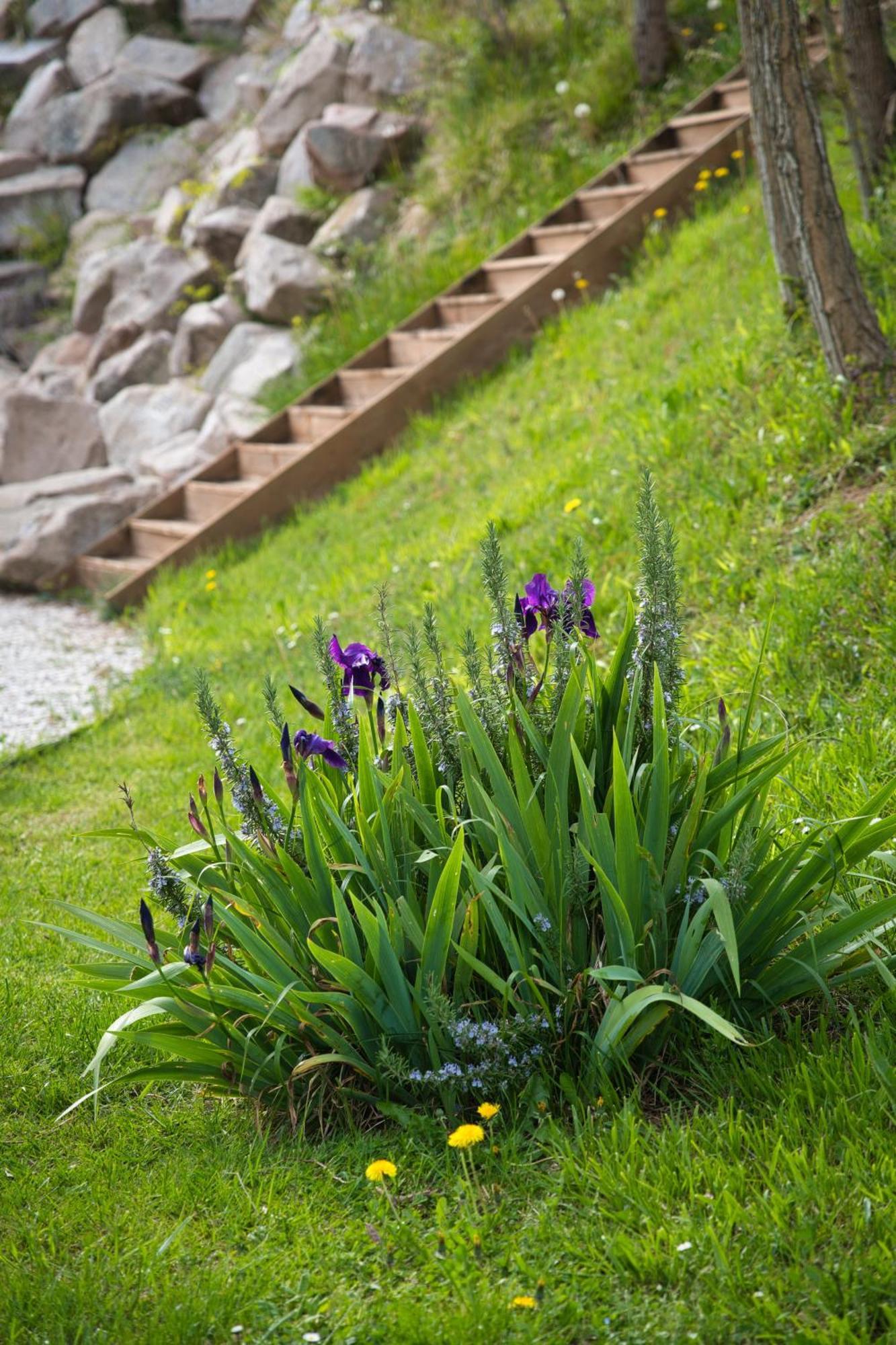 Ferienwohnung Domaine Des Rigaud Garchizy Exterior foto